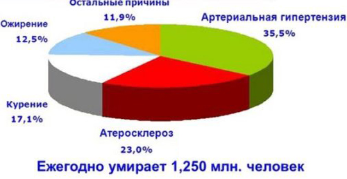 Причины появления холестериновых бляшек Причины появления холестериновых бляшек