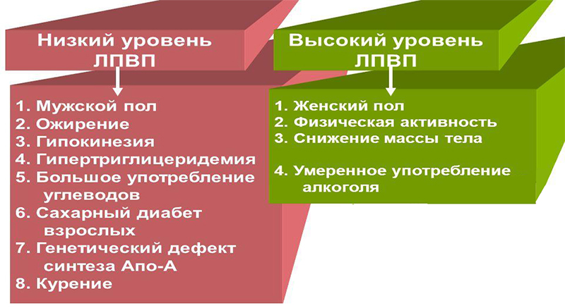 Причины скачков содержания липопротеинов Причины скачков содержания липопротеинов
