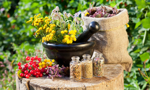 Применение народных средств Применение народных средств