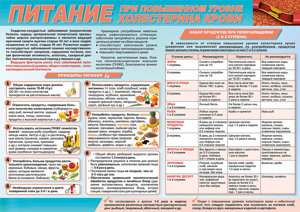 Принципы питания Принципы питания