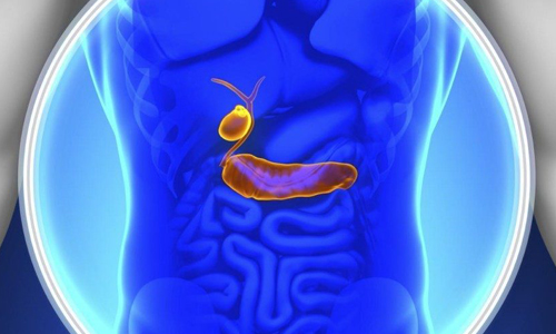 Проблема полипа желчного пузыря Проблема полипа желчного пузыря