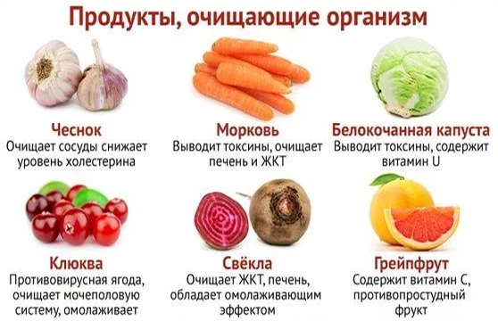 Продукты, очищающие организм Продукты, очищающие организм