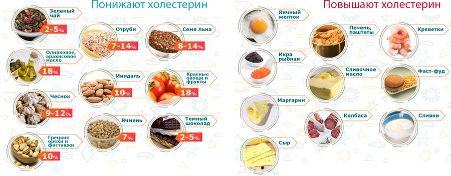 Продукты, повышающие и понижающие холестерин Продукты, повышающие и понижающие холестерин