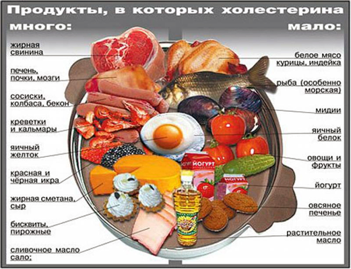 Продукты с большим количеством холестерина Продукты с большим количеством холестерина