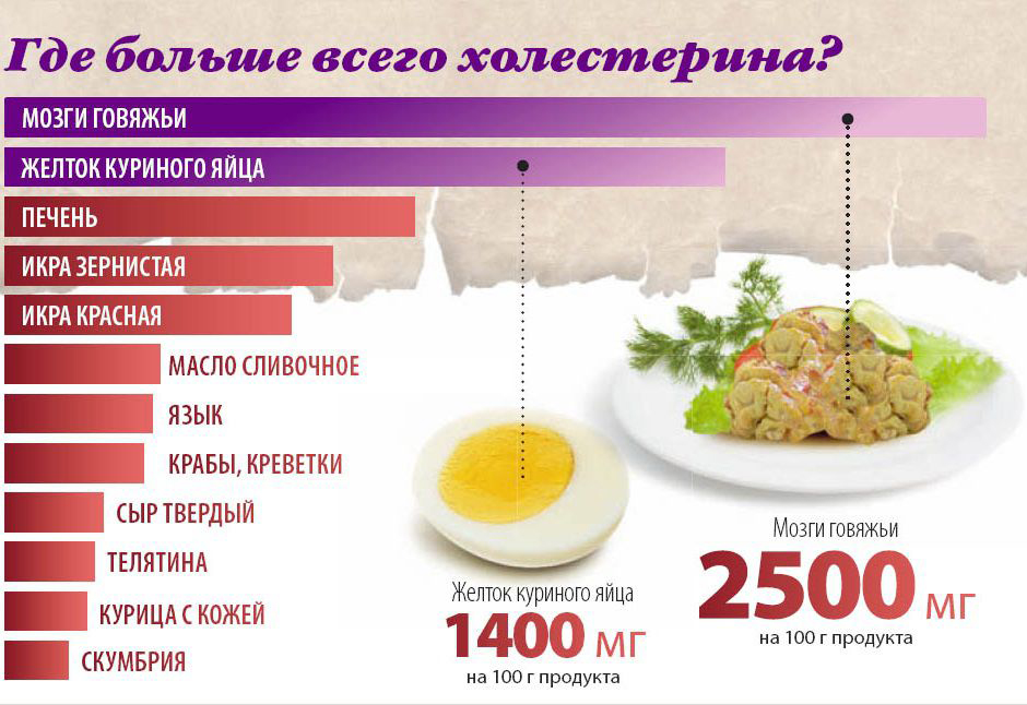 Продукты с высоким холестерином Продукты с высоким холестерином
