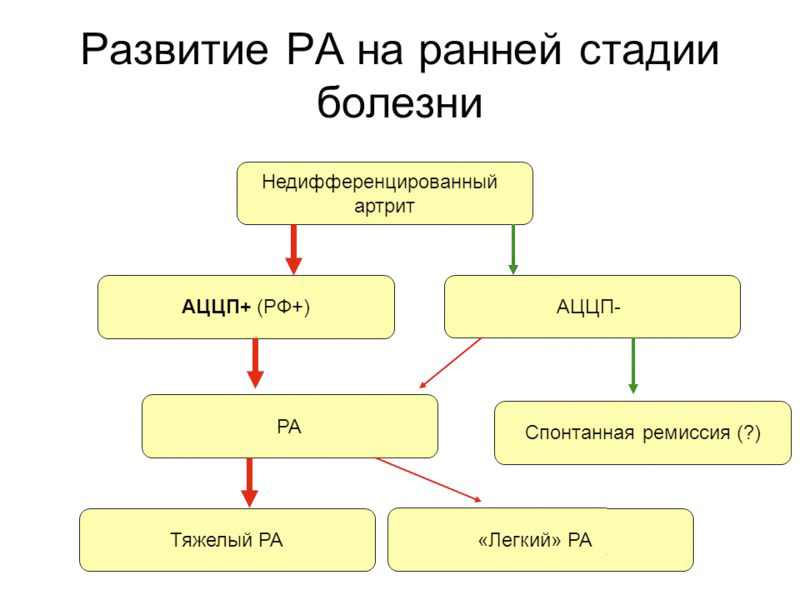 Развитие рассеянного атеросклероза Развитие рассеянного атеросклероза