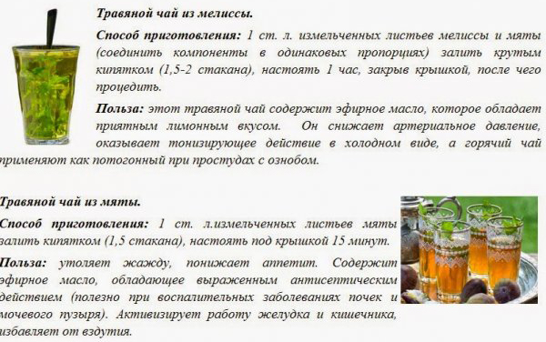 Рецепты травяных чаев Рецепты травяных чаев