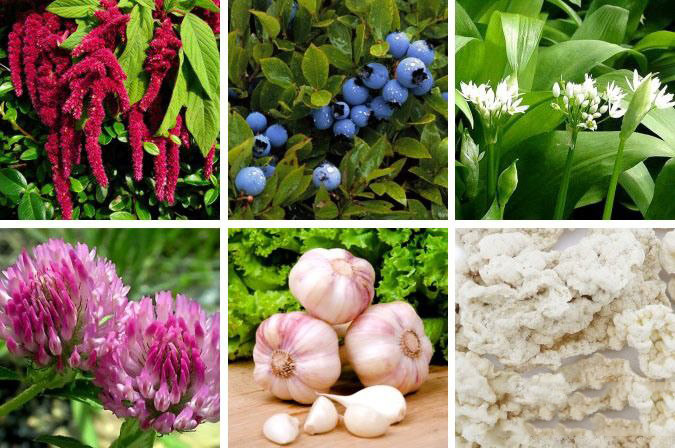 Состав Холедола Состав Холедола