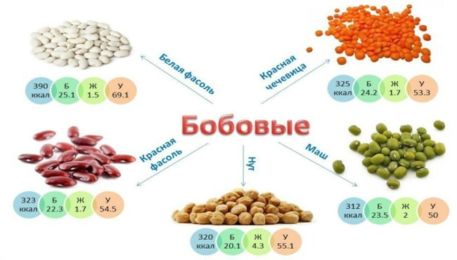 Состав бобовых Состав бобовых