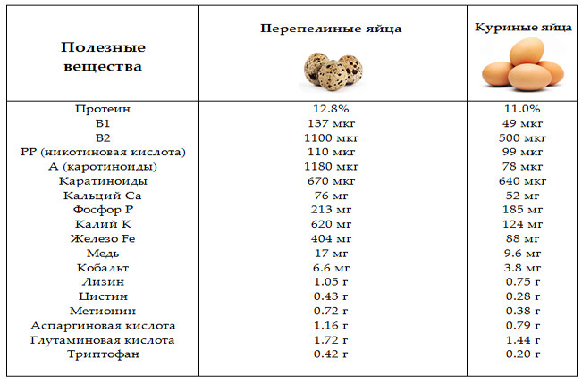Состав перепелиных и куриных яиц Состав перепелиных и куриных яиц