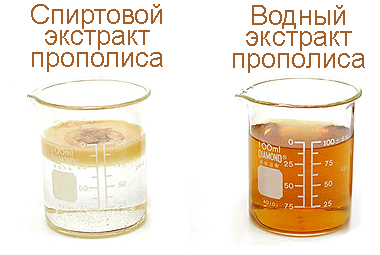 Спиртовой и водный экстракт Спиртовой и водный экстракт