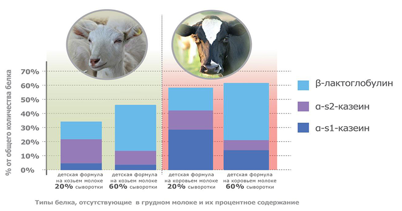 Сравнение козьего и коровьего молока Сравнение козьего и коровьего молока