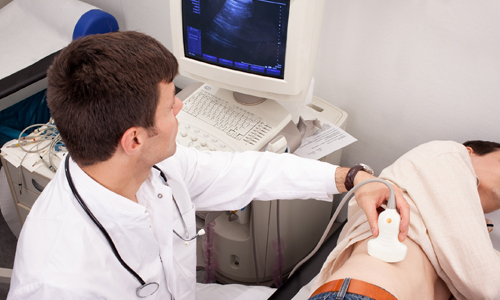 УЗИ почек УЗИ почек