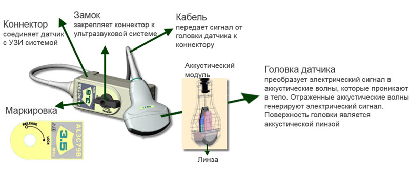 Устройство датчика Устройство датчика