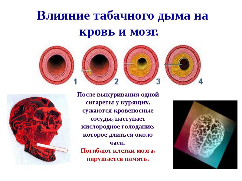 Вред табачного дыма Вред табачного дыма