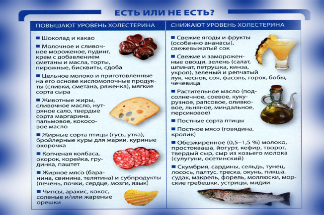 Вредные и полезные продукты Вредные и полезные продукты