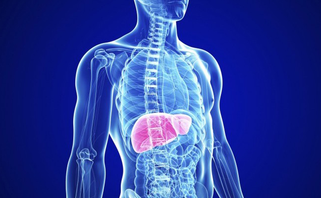 Заболевания печени Заболевания печени