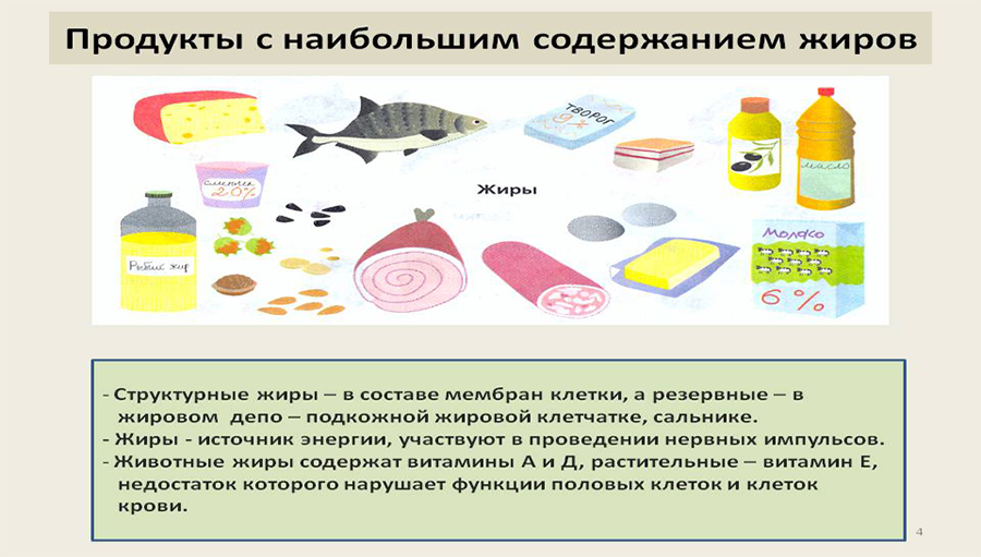 Жиры в продуктах Жиры в продуктах